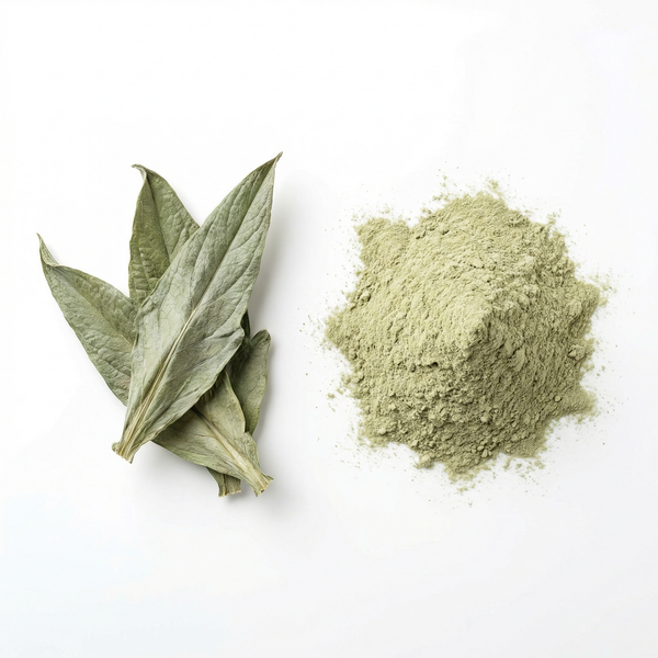 Artichoke Extract