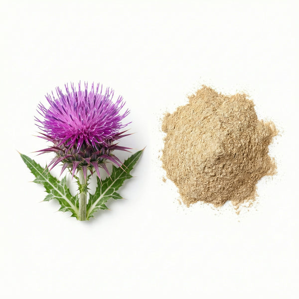 Milk Thistle