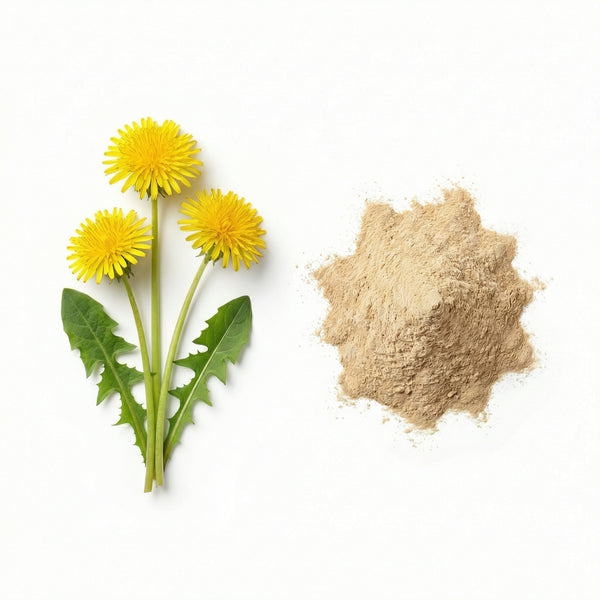 Dandelion