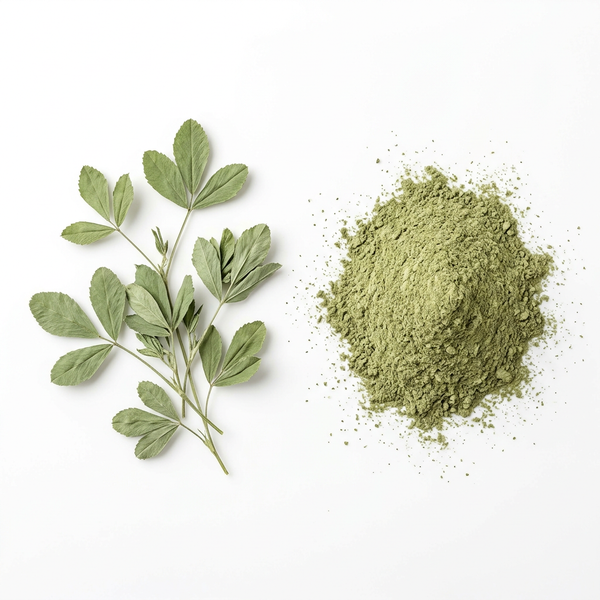 Alfalfa Leaf